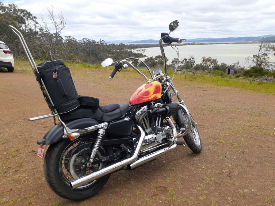 Sportster Sissy Bar 04-Up