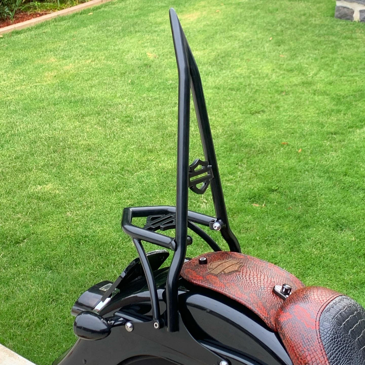 BNM "Big Boy" Sissy Bar Style 5 BarNone Moto