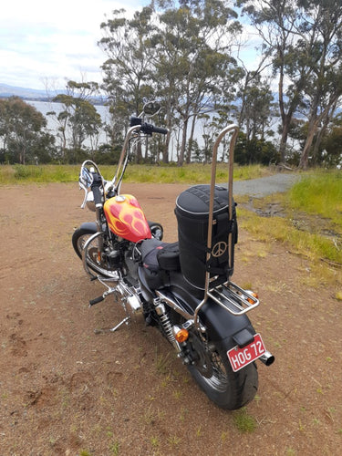 Sportster Sissy Bar 04-Up 2