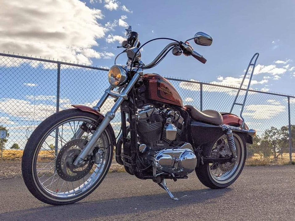 2000 sportster deals sissy bar